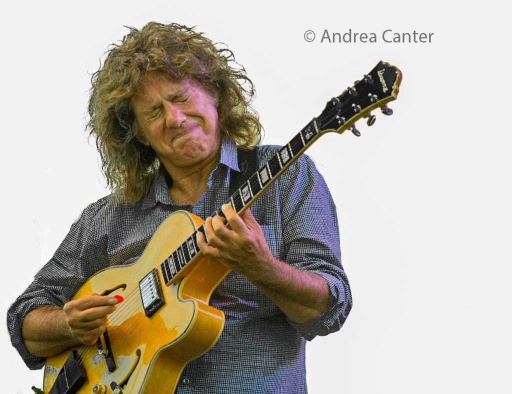 Jazz Police Twin Cities Jazz Calendar, Summer 2019 Featured